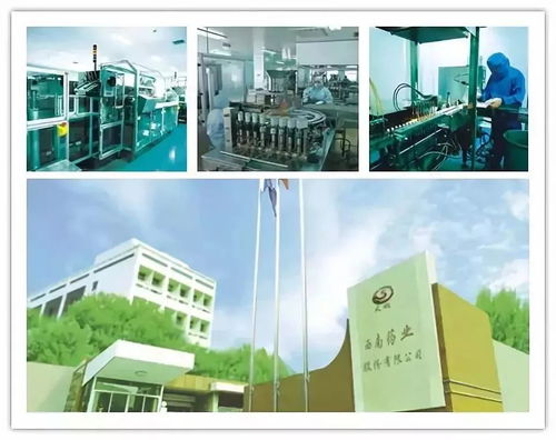 改革開放四十年 沙坪壩工業(yè)發(fā)展與網絡技術的融合創(chuàng)新